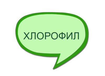 Хлорофил – ползи, източници, прием и всичко, което трябва да знаете